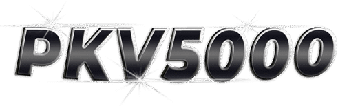 logo pkv5000
